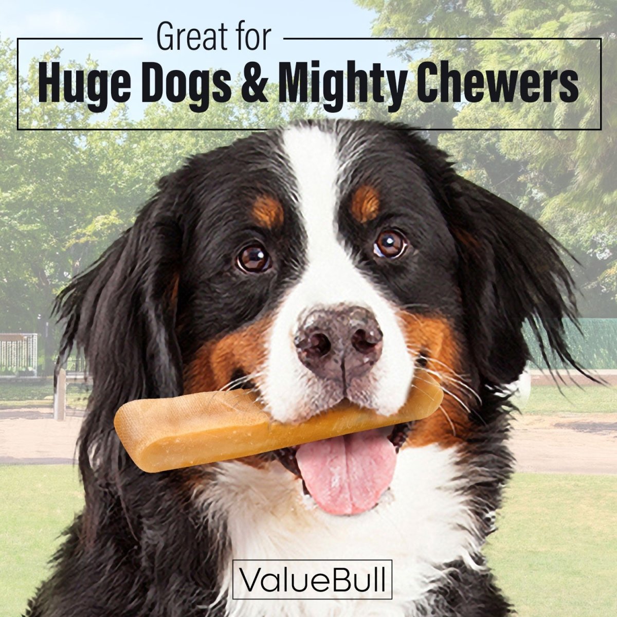 Yak Cheese Dog Chews product image 2