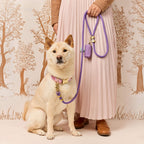 Dog Leash product image 3