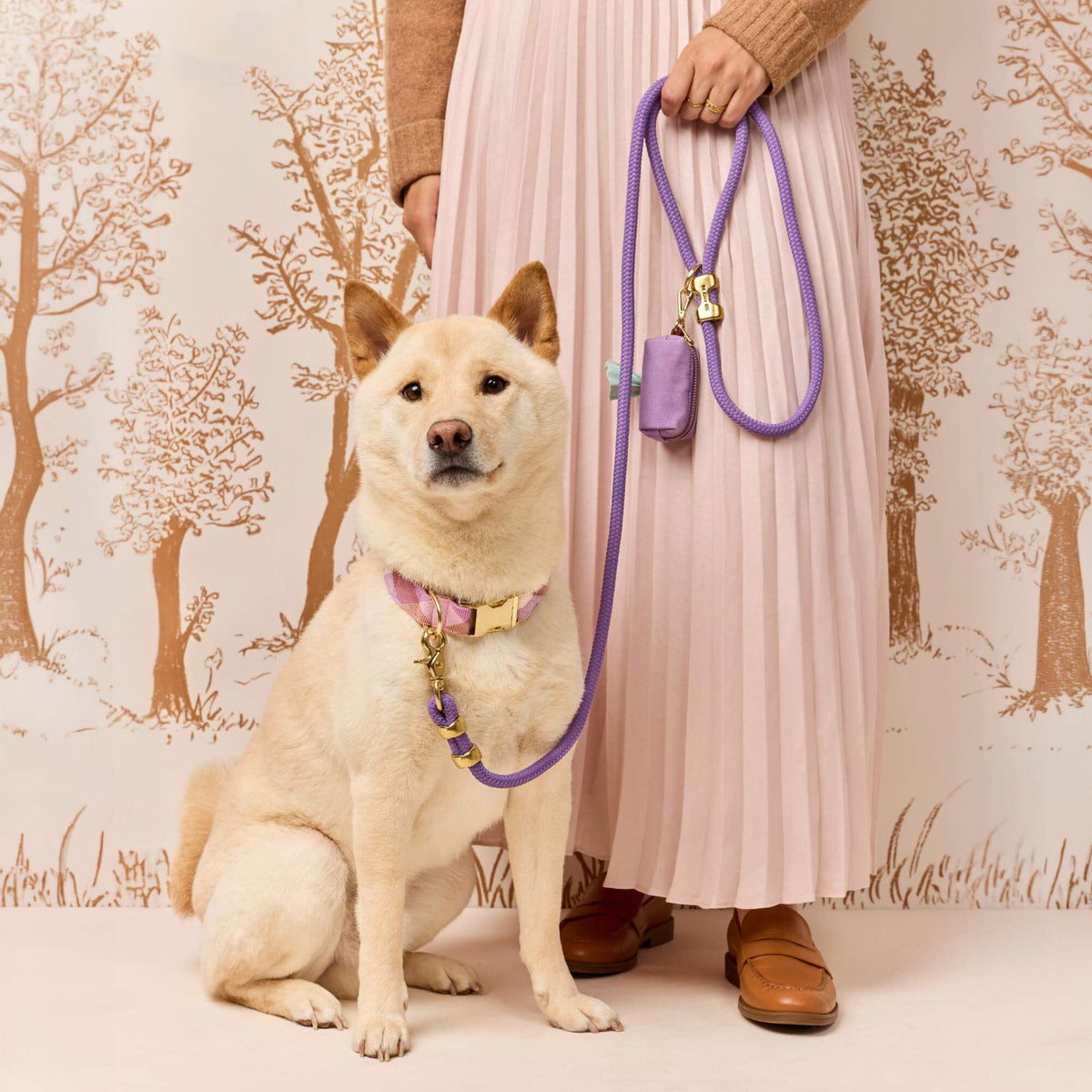 Dog Leash product image 3