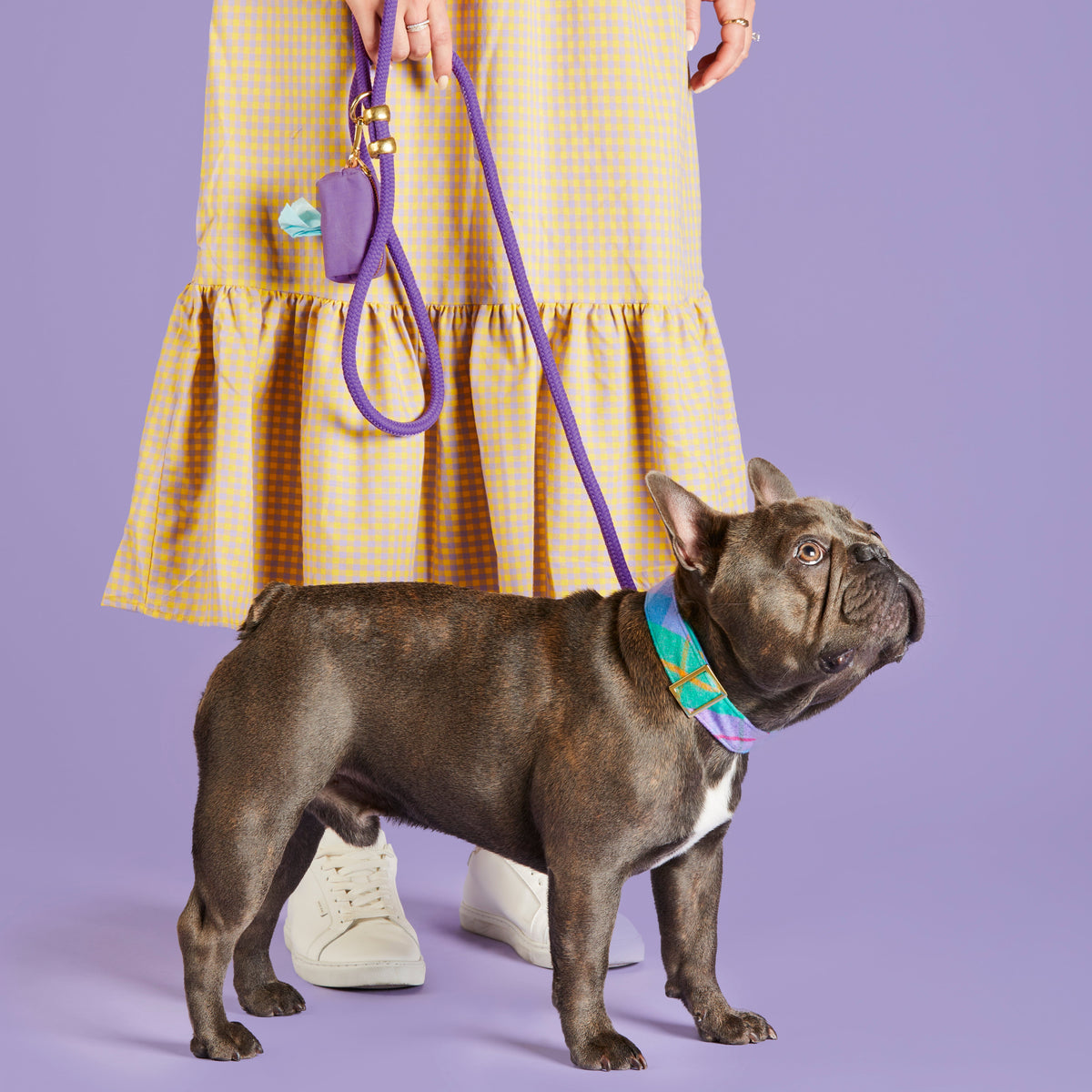 Dog Leash product image 5