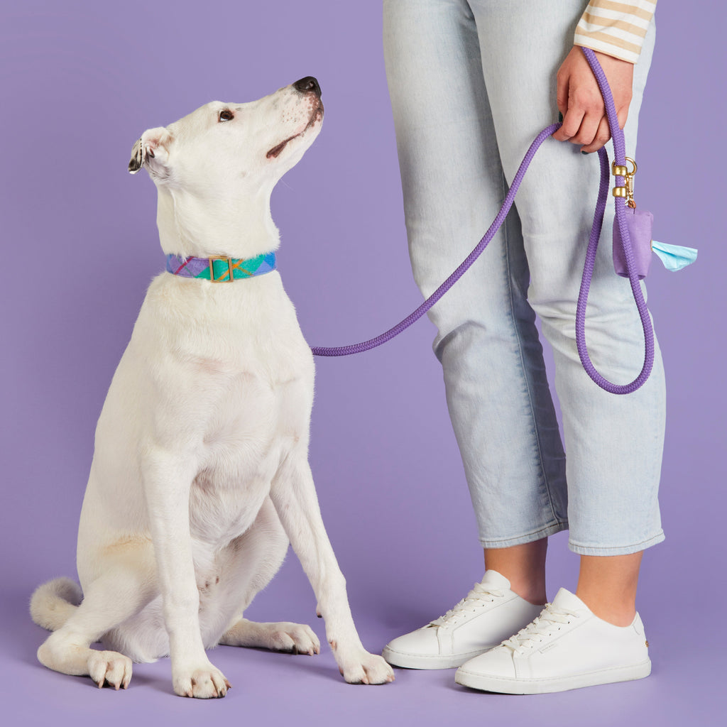 Dog Leash product image 6