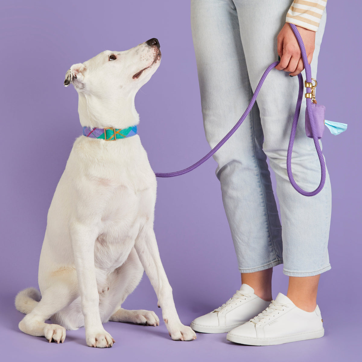 Dog Leash product image 6