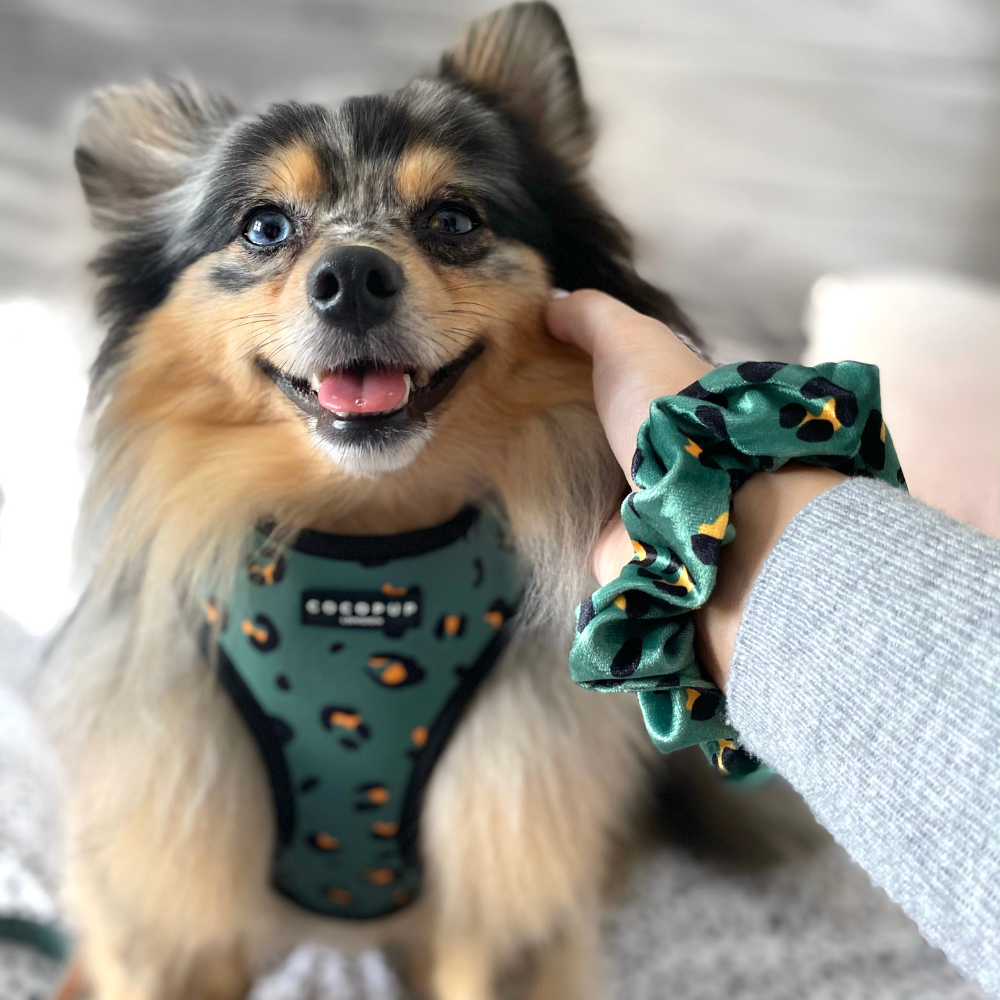 Adjustable Dog Harness product image 3