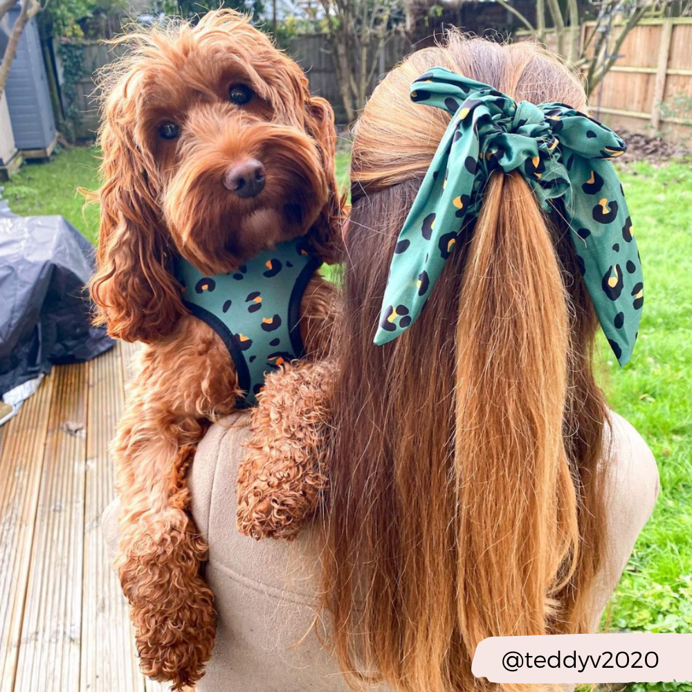 Adjustable Dog Harness product image 9