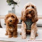 Adjustable Dog Harness product image 10