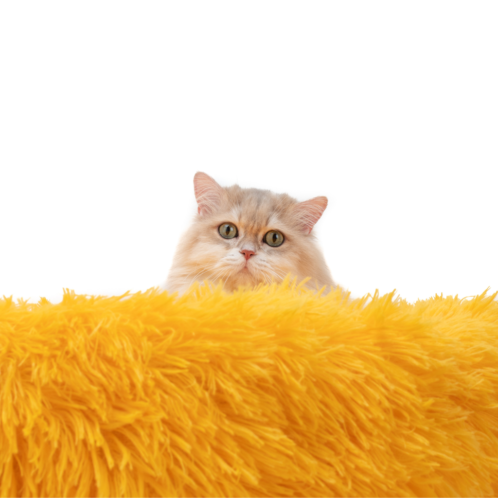 Donut Cat Bed product image 2