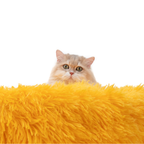 Donut Cat Bed product image 2