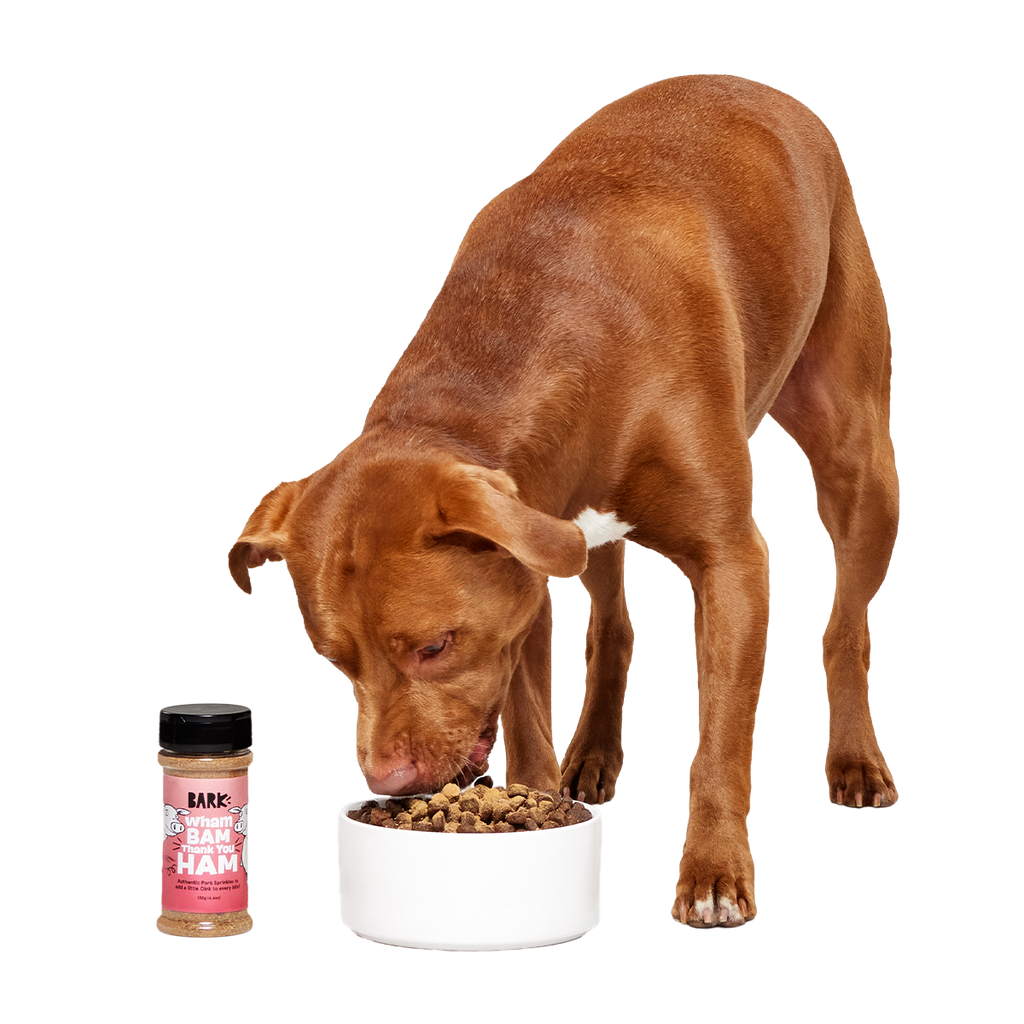 Dog Food Topper product image 4