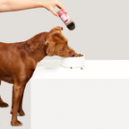 Dog Food Topper product image 7