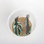 Live Hornworm Feeder Insects product image 4