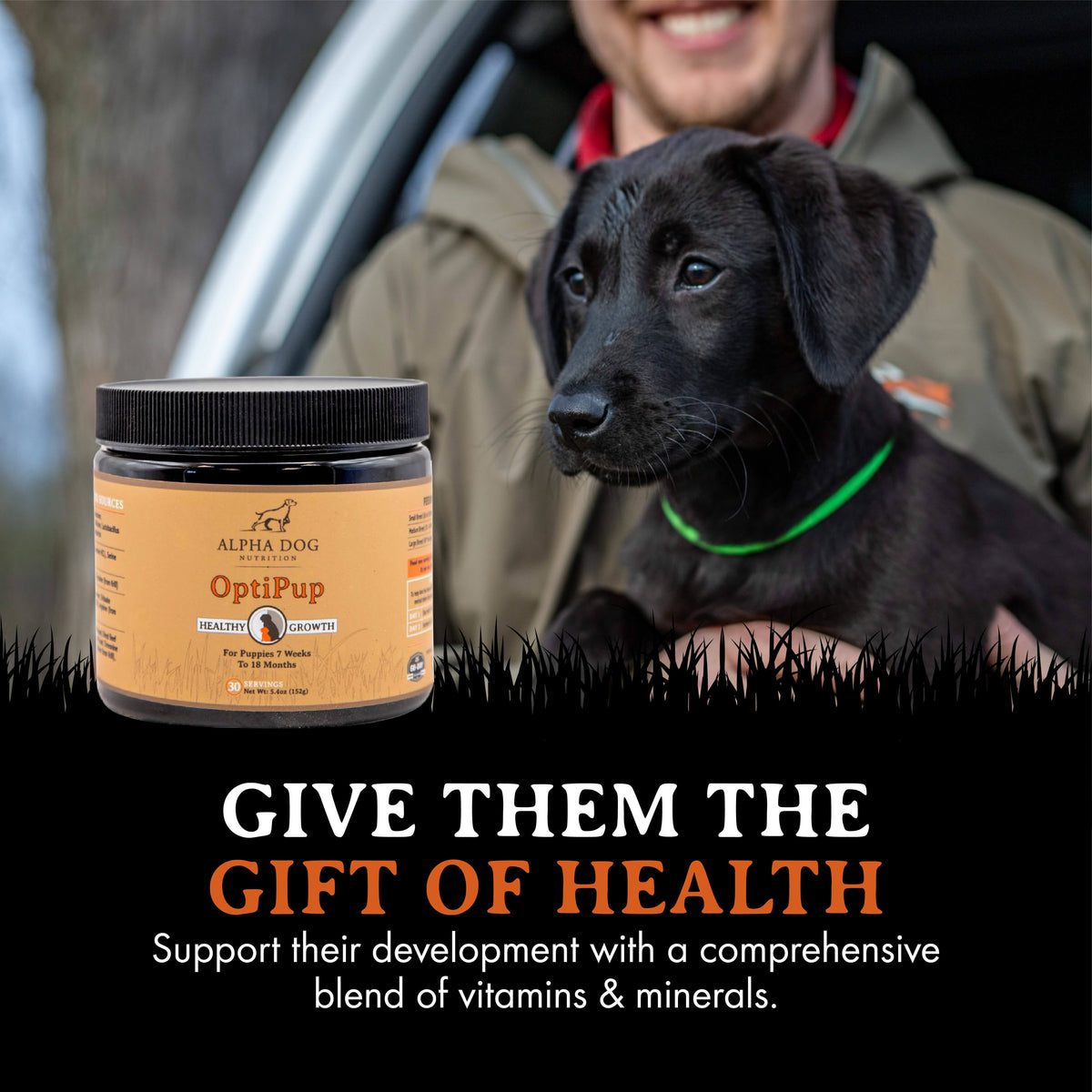 Puppy Nutritional Supplement product image 3