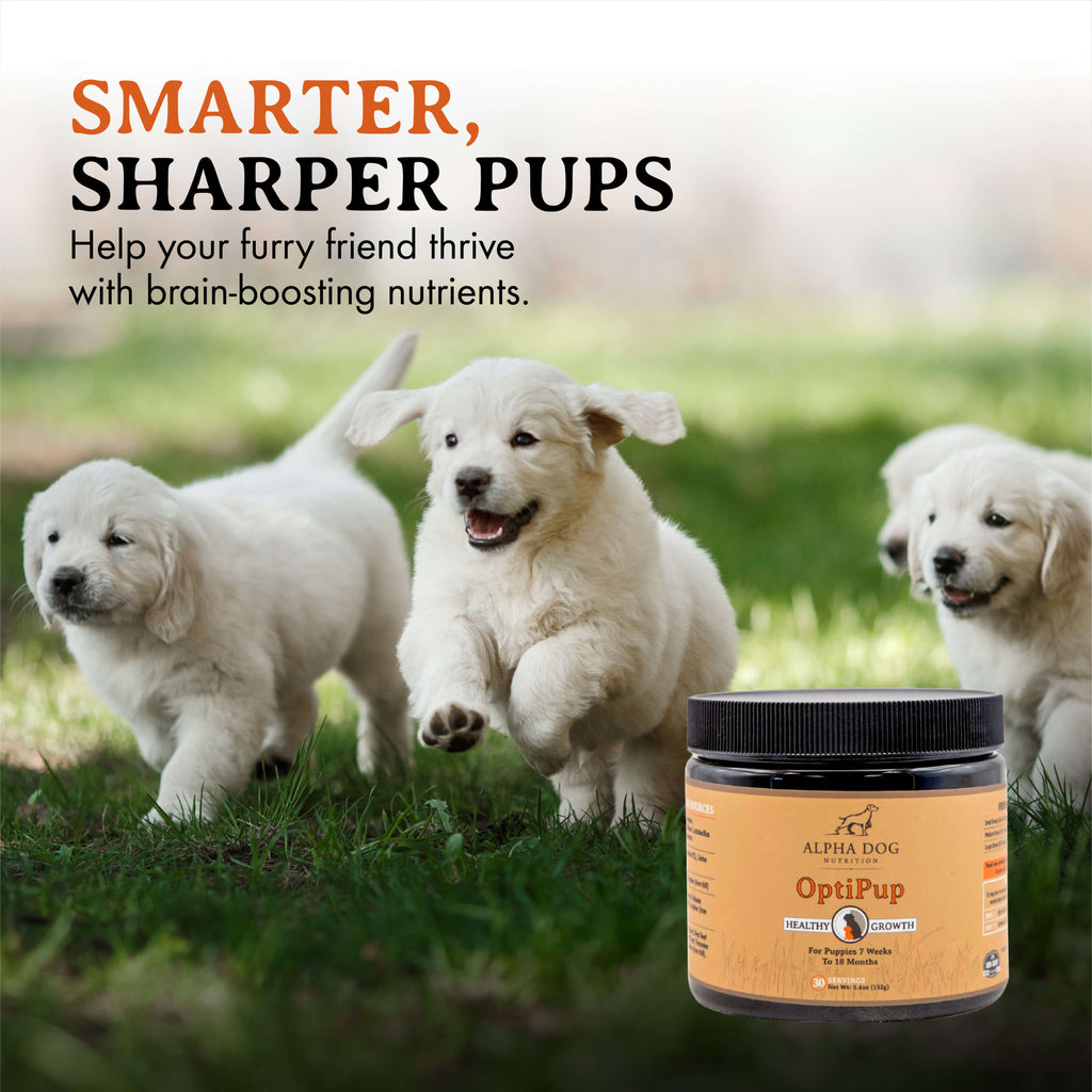 Puppy Nutritional Supplement product image 4