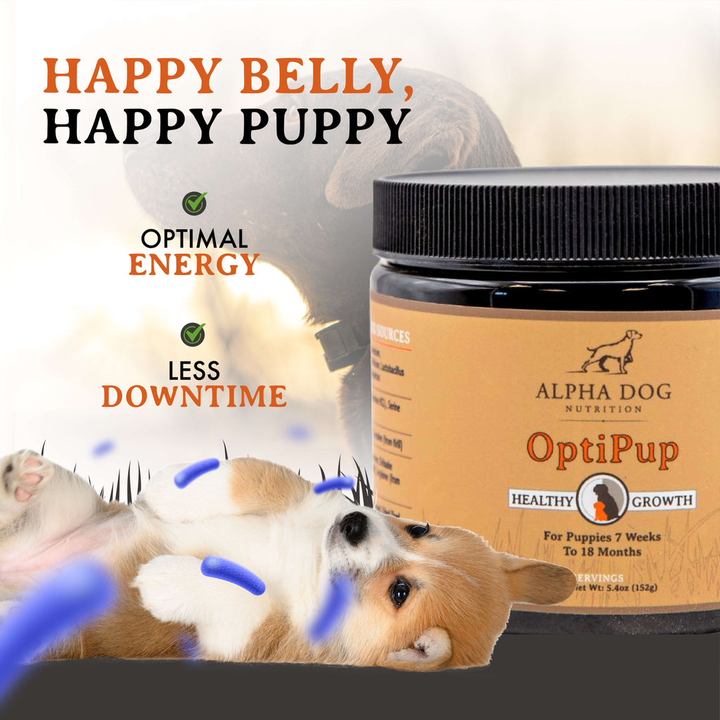 Puppy Nutritional Supplement product image 6