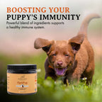 Puppy Nutritional Supplement product image 7