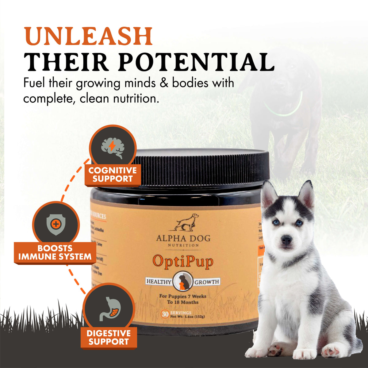 Puppy Nutritional Supplement product image 8
