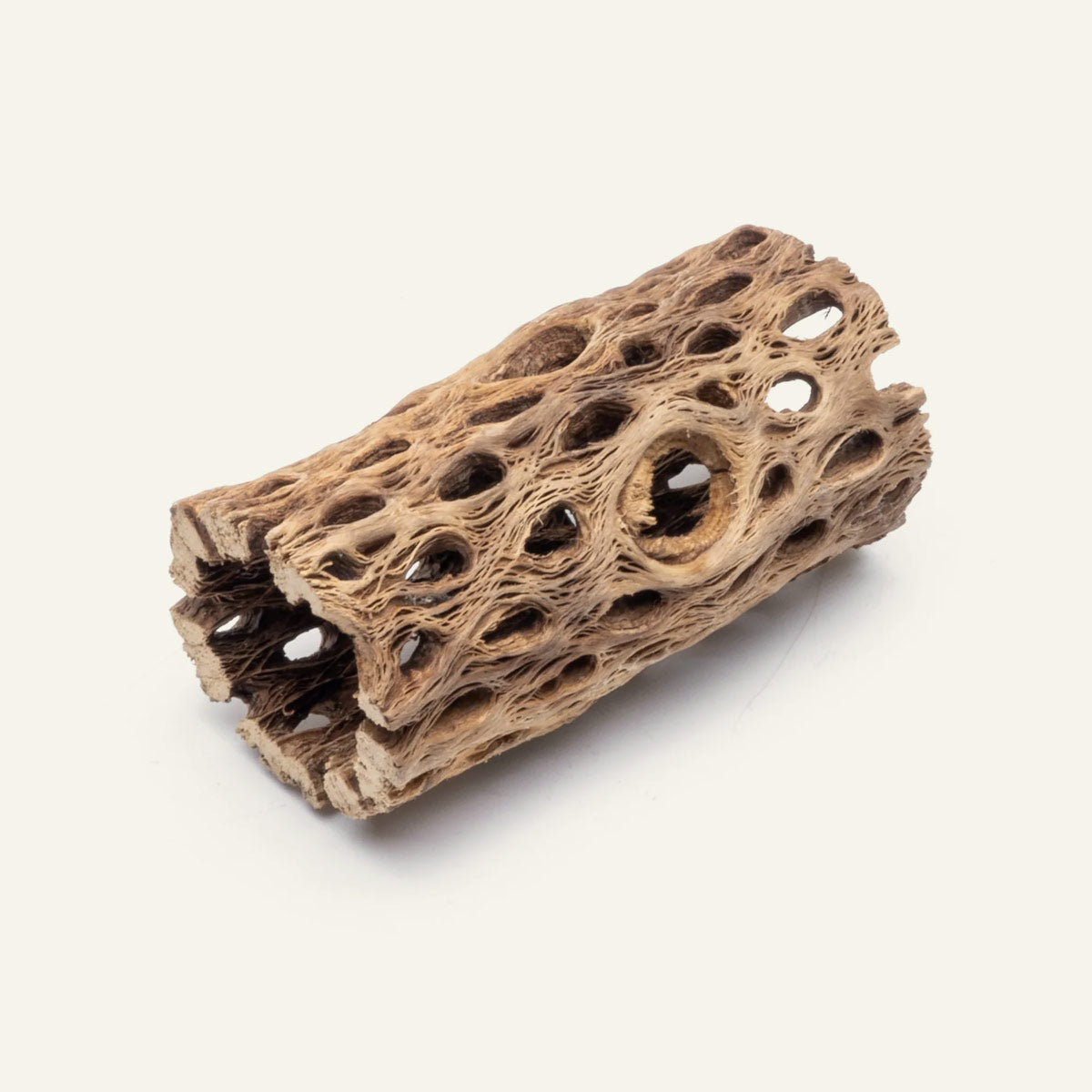 Aquarium Cholla Wood product image 1