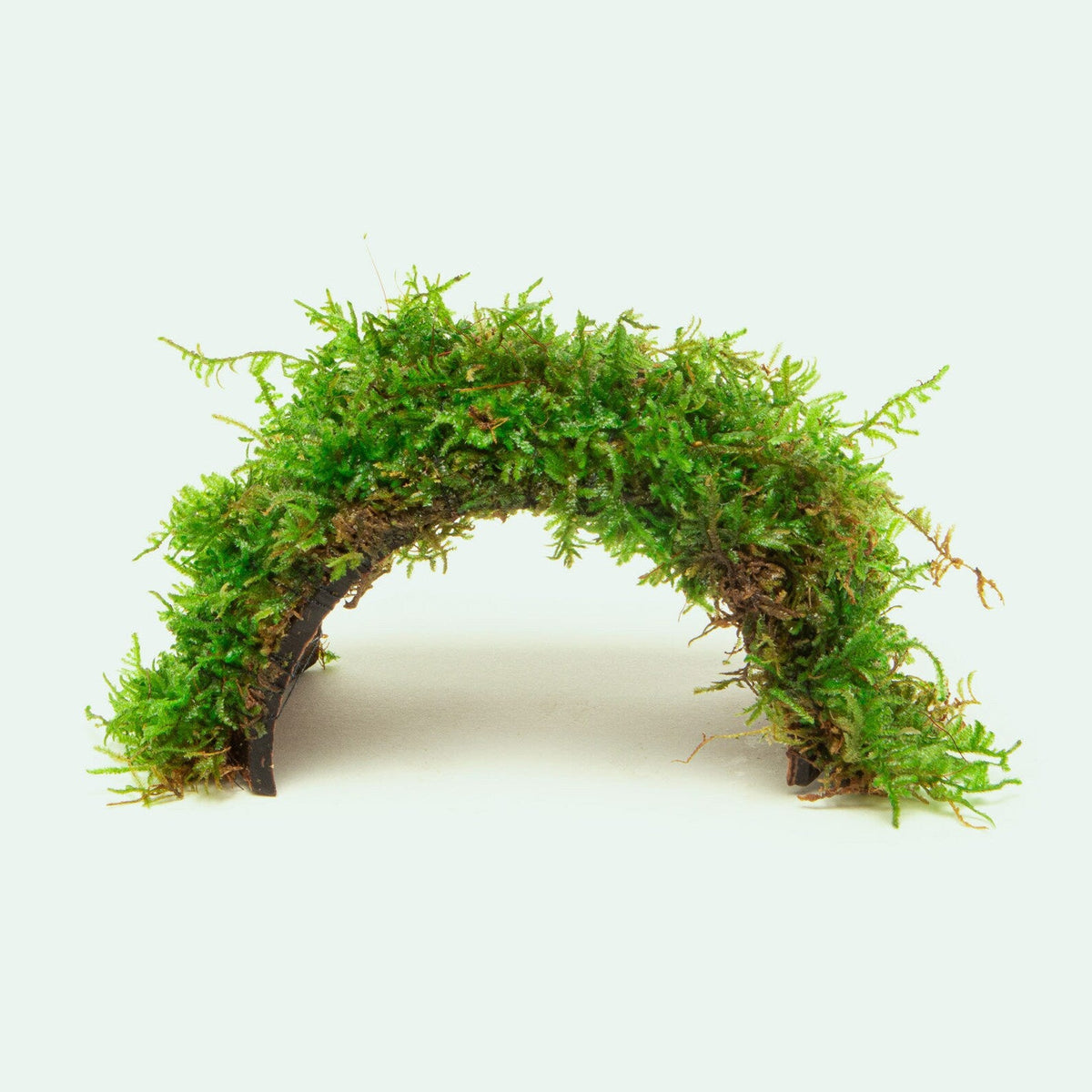 Live Aquarium Decor product image 1