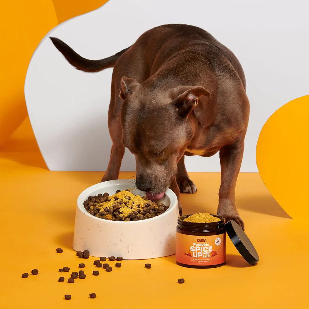 Pumpkin Spice, And Everything Nice Vegetarian Dog Food Meal Topper, 6.1 oz product image 3