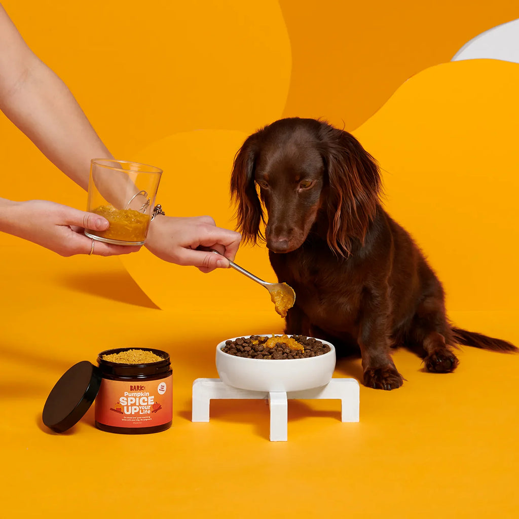 Pumpkin Spice, And Everything Nice Vegetarian Dog Food Meal Topper, 6.1 oz product image 4