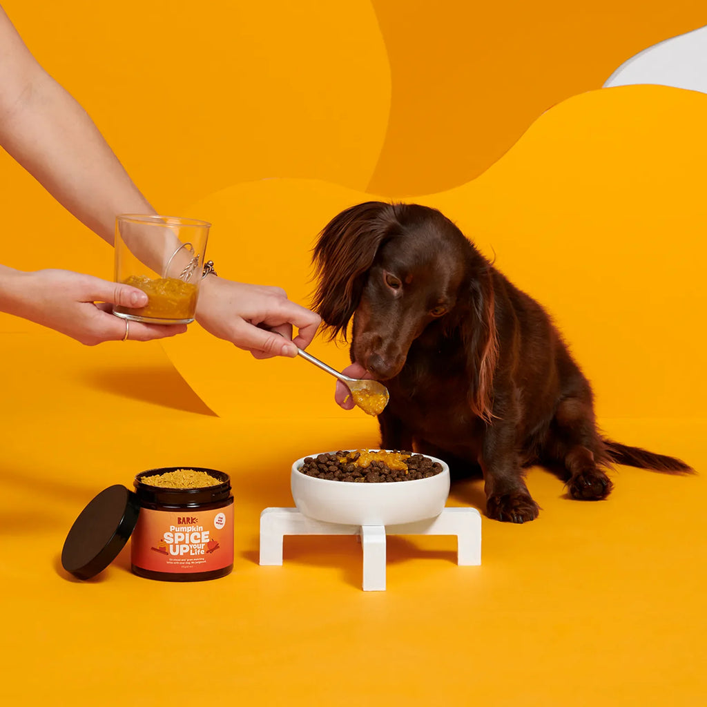 Pumpkin Spice, And Everything Nice Vegetarian Dog Food Meal Topper, 6.1 oz product image 5