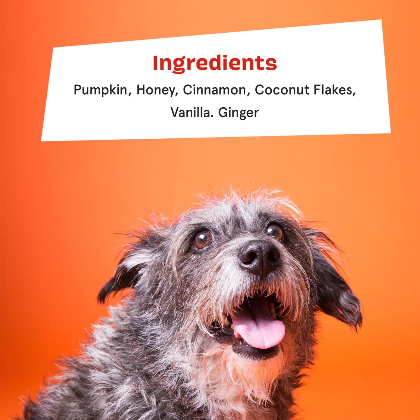 Pumpkin Spice, And Everything Nice Vegetarian Dog Food Meal Topper, 6.1 oz product image 7