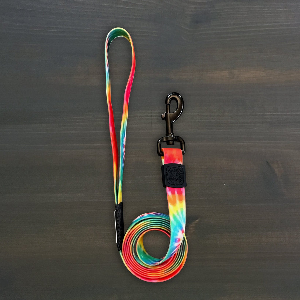 Dog Leash product image 1