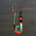 Dog Leash product image 1