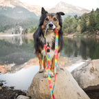 Dog Leash product image 4