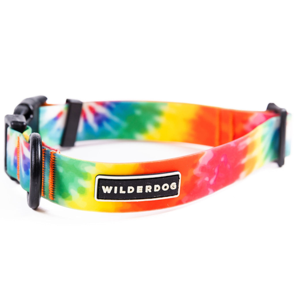 Waterproof Dog Collar product image 5