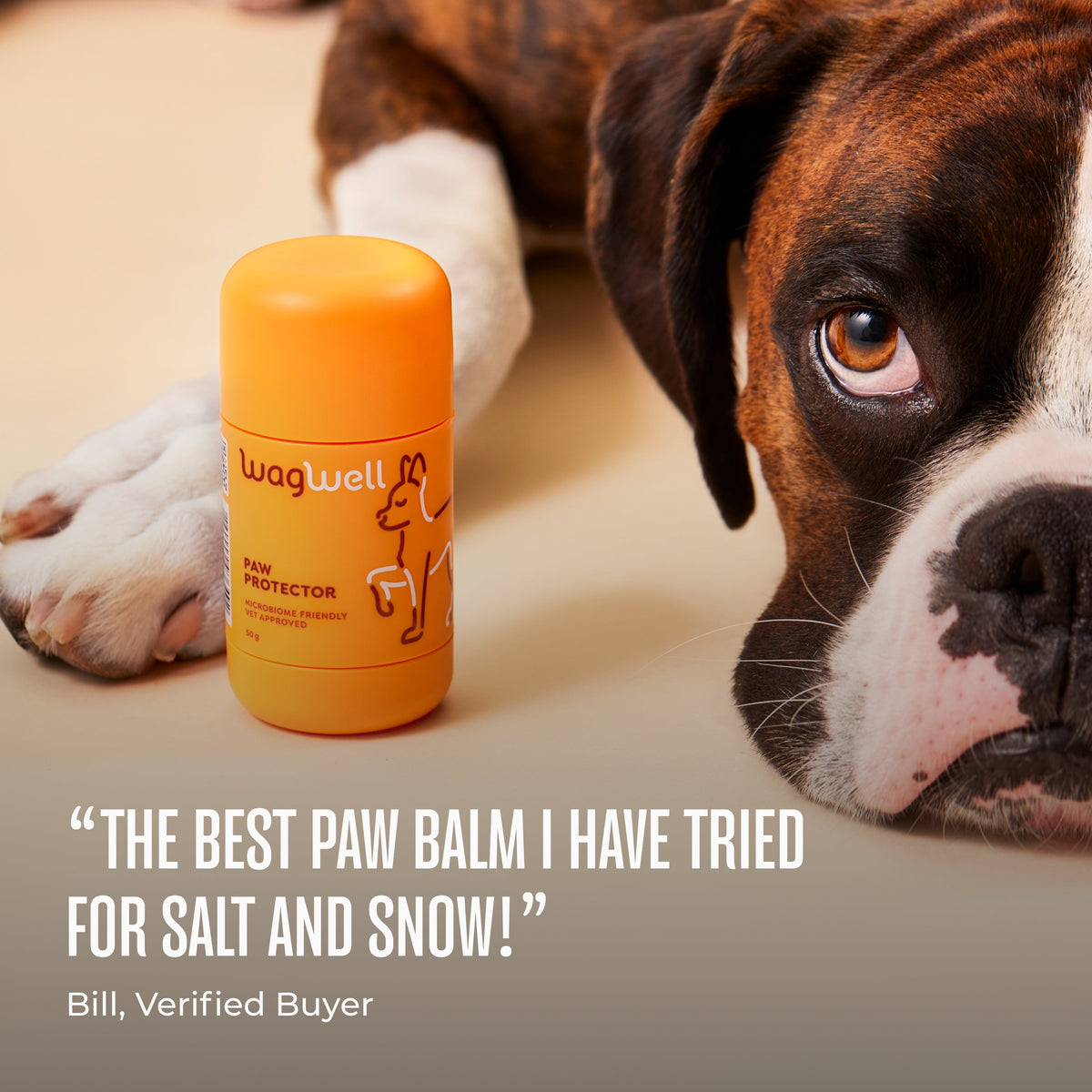 Dog Paw Balm product image 5