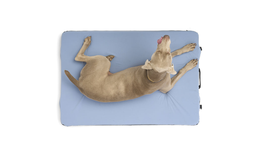 Memory Foam Dog Bed product image 2