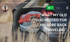 Memory Foam Dog Bed product image 3