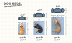 Memory Foam Dog Bed product image 5