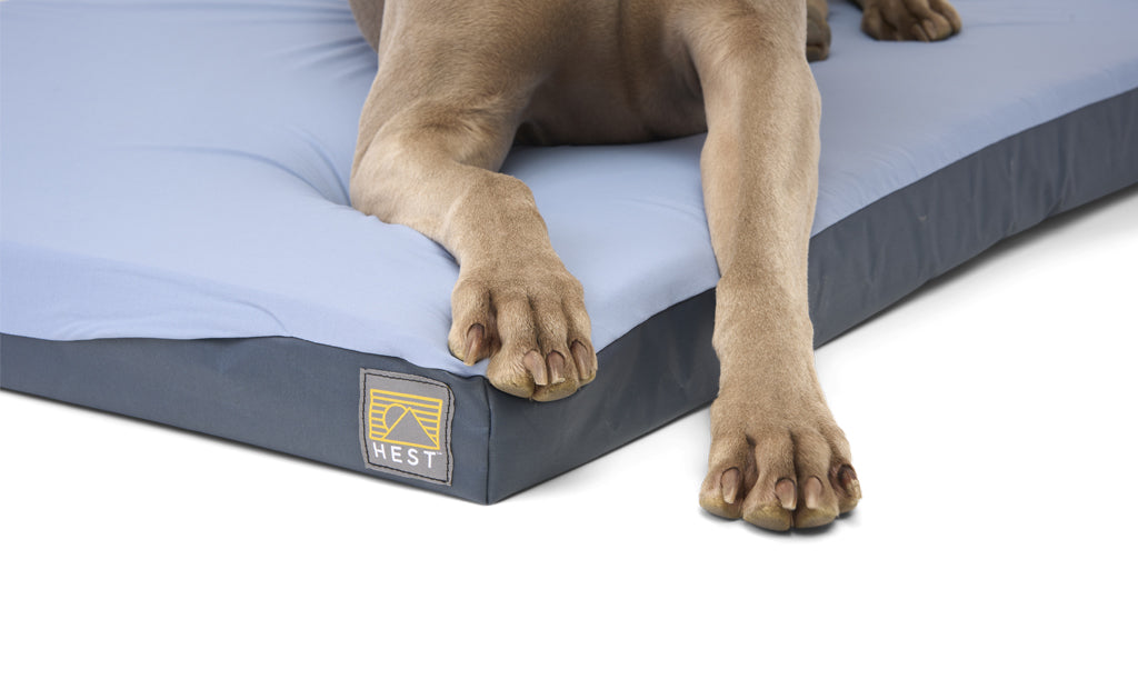 Memory Foam Dog Bed product image 8