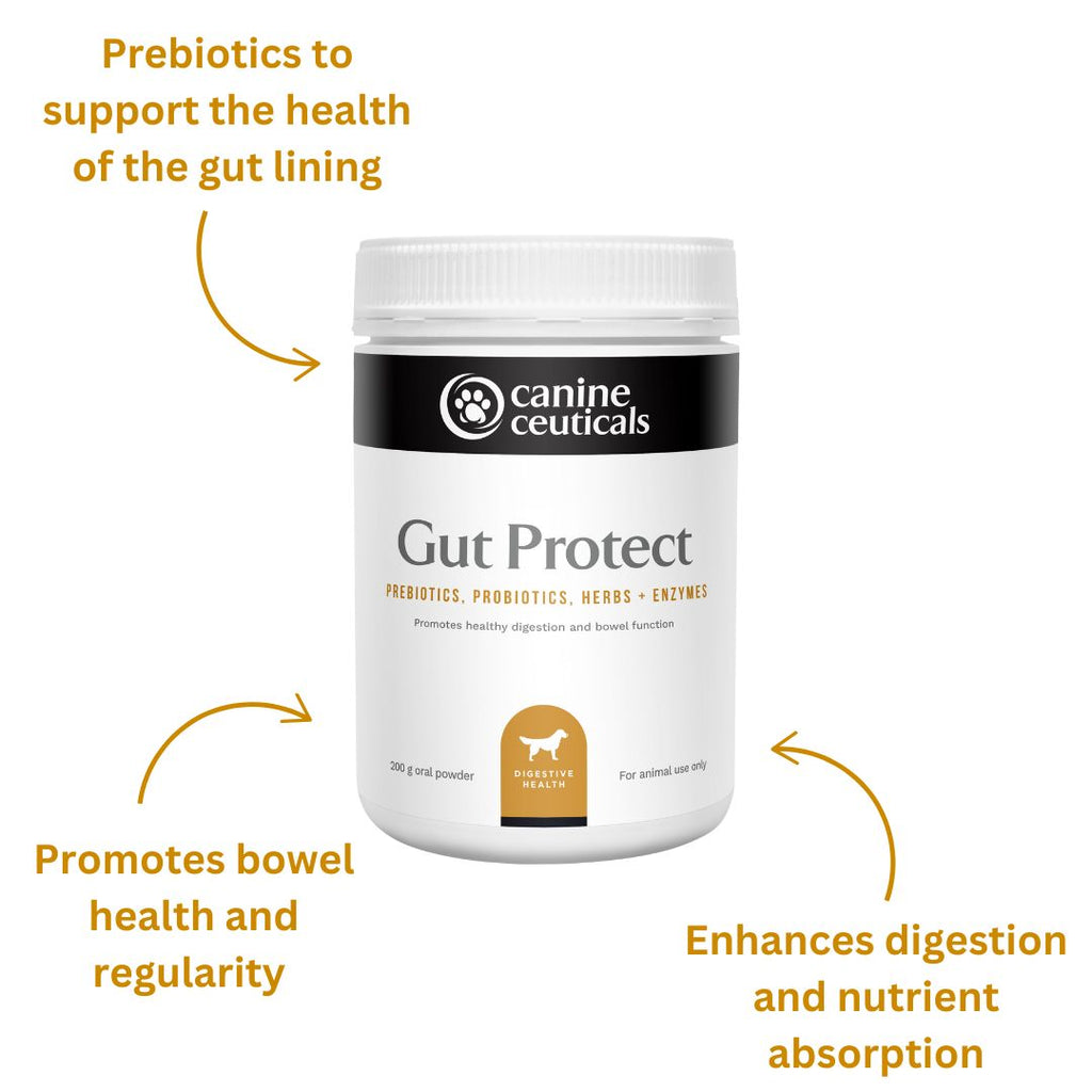 Dog Digestive Supplement product image 4