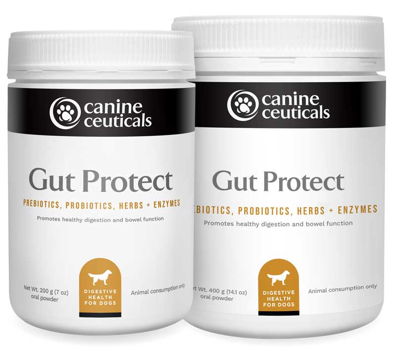 Dog Digestive Supplement product image 6