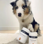 Dog Digestive Supplement product image 7