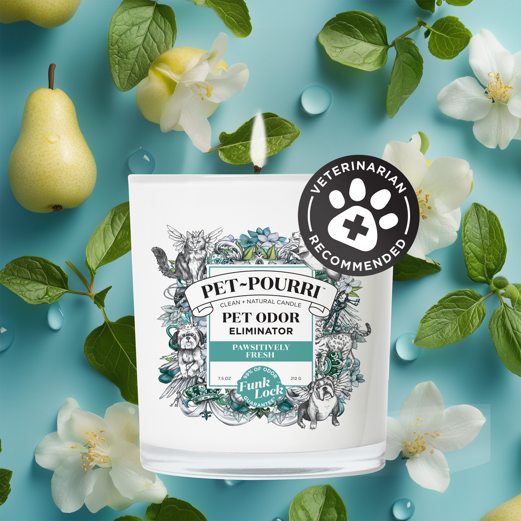Pet odor candle product image 1