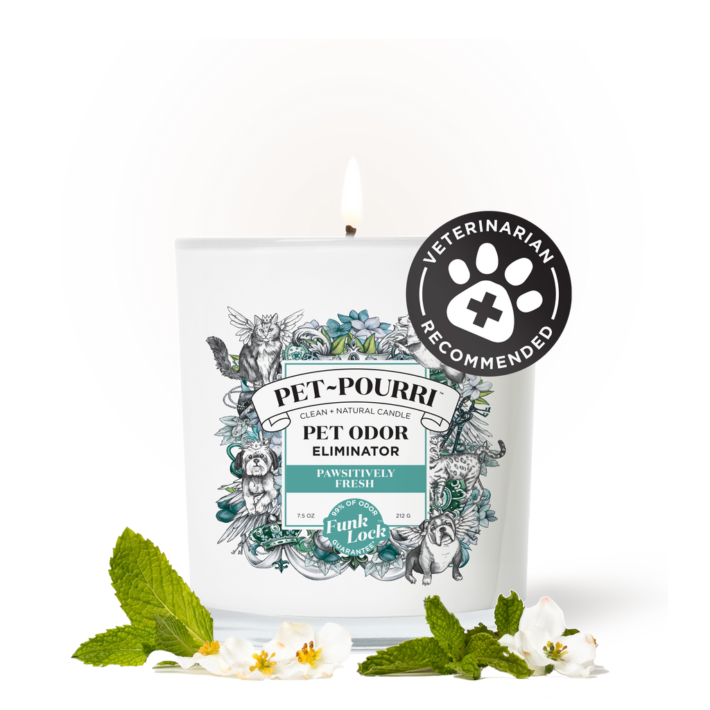 Pet odor candle product image 2