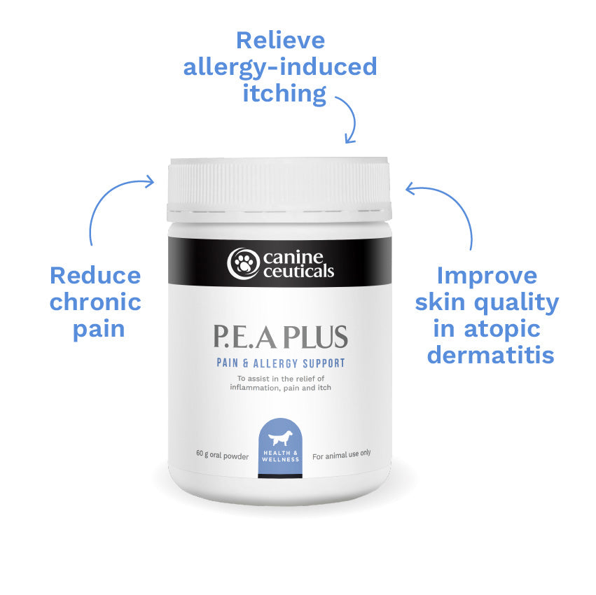 Dog and Cat Supplement product image 4