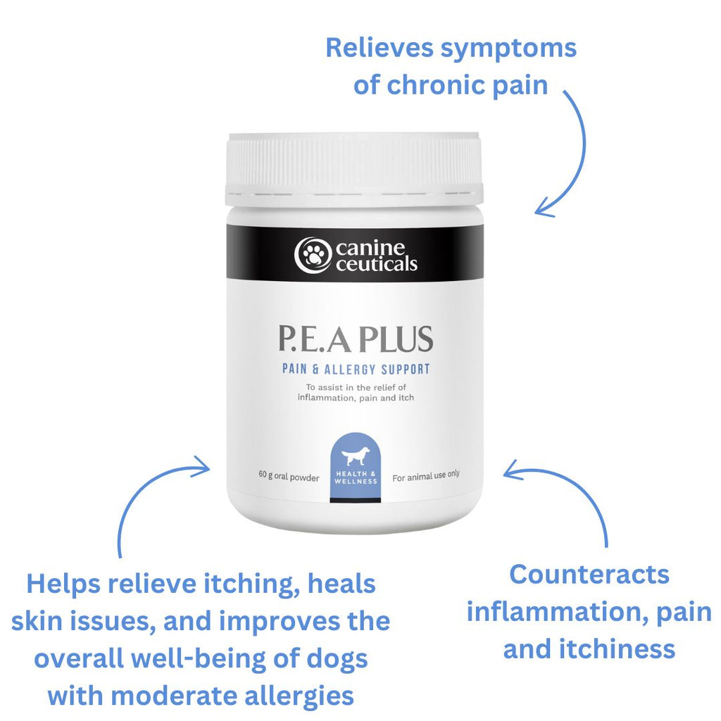Dog and Cat Supplement product image 6
