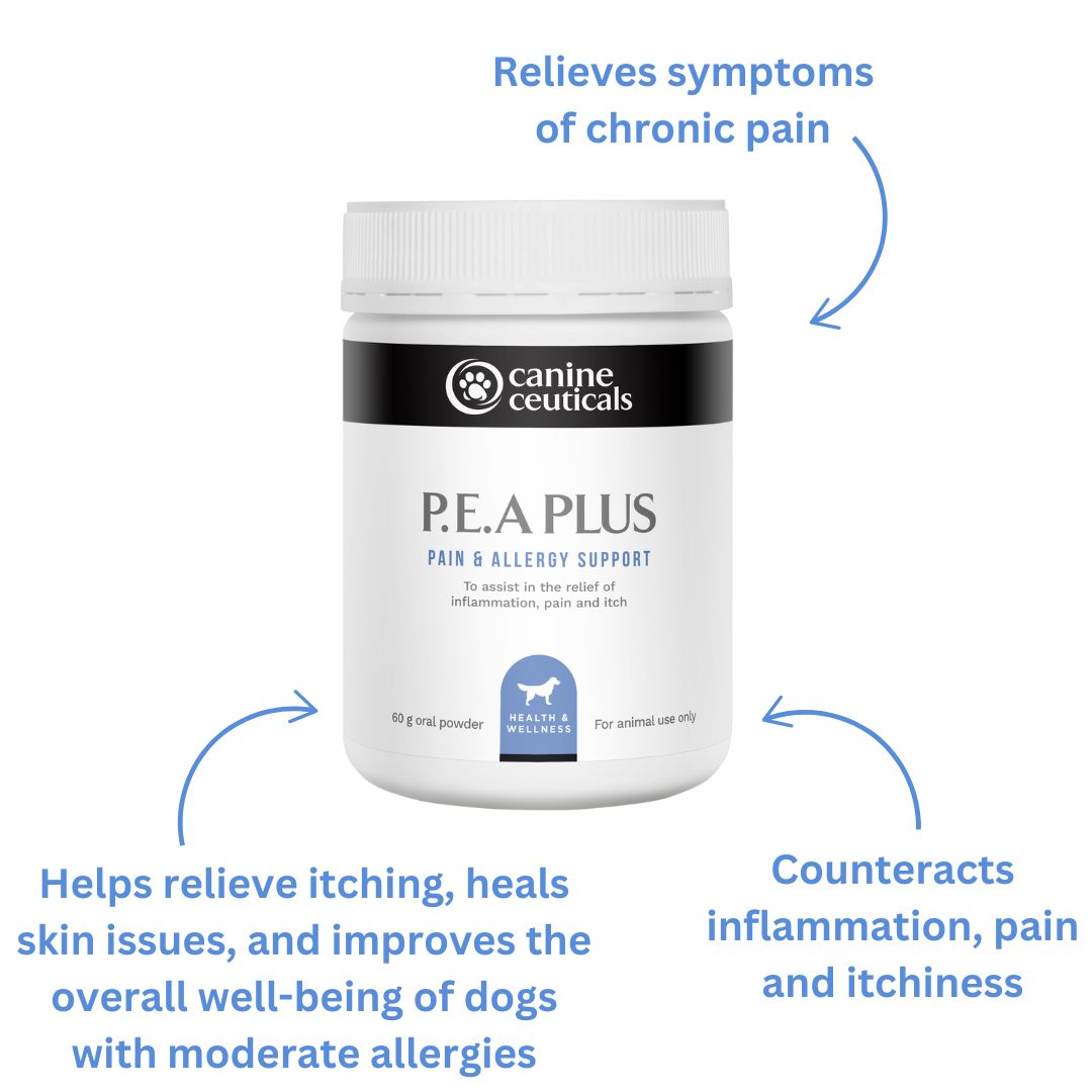 Dog and Cat Supplement product image 6