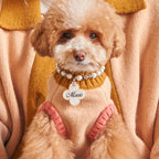 Pet Sweater product image 2