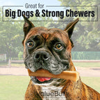 Yak Cheese Dog Chews product image 2