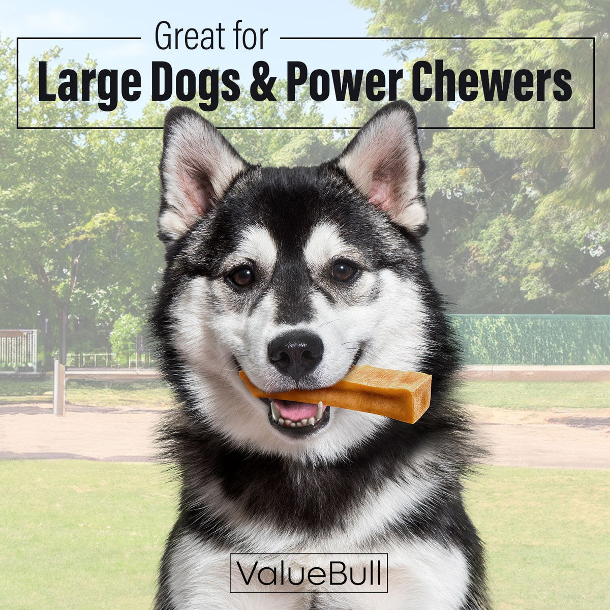 Yak Cheese Dog Chews product image 2