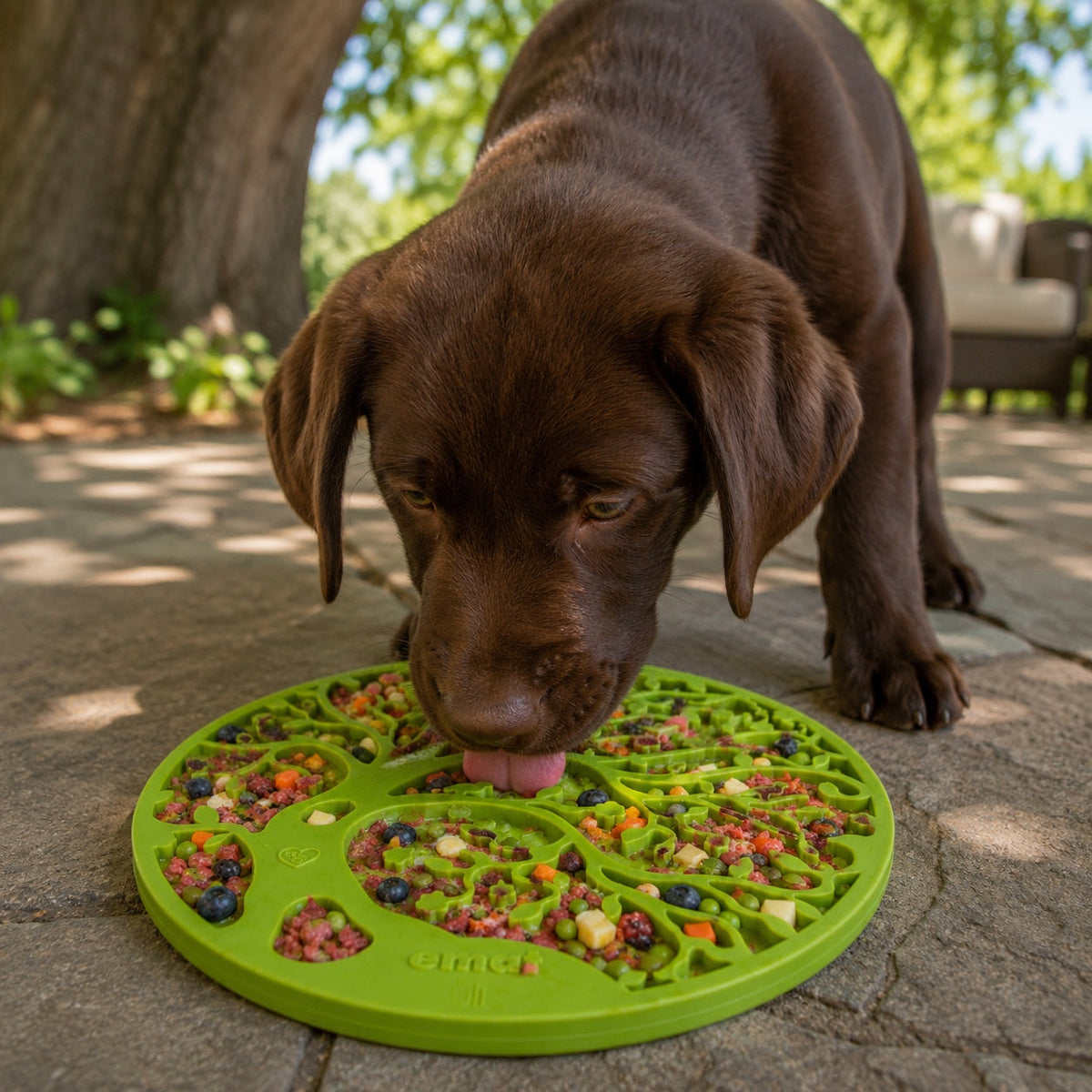 Pet Lick Mat product image 3