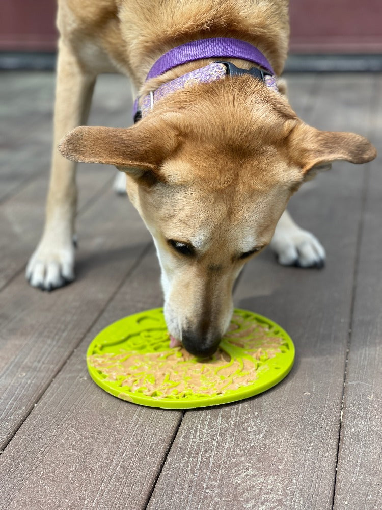 Pet Lick Mat product image 7