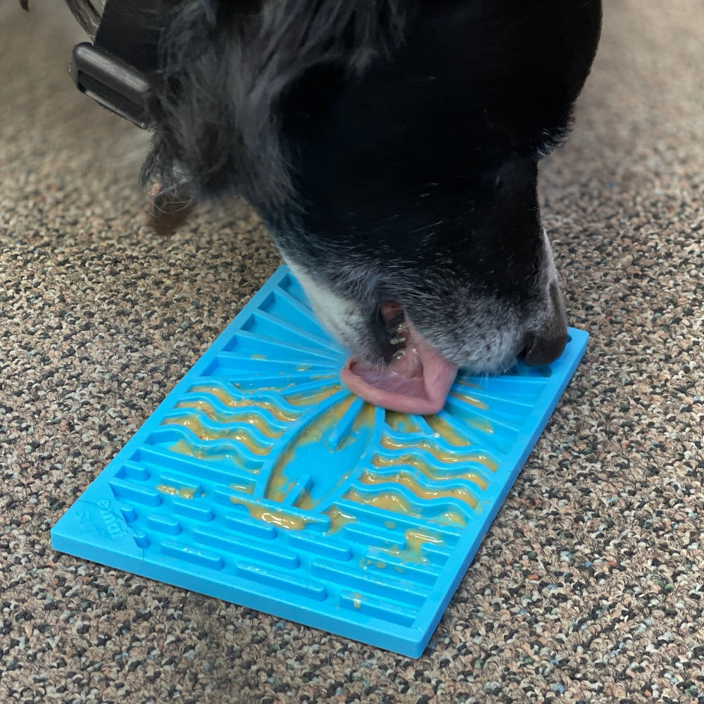 Pet Lick Mat product image 6