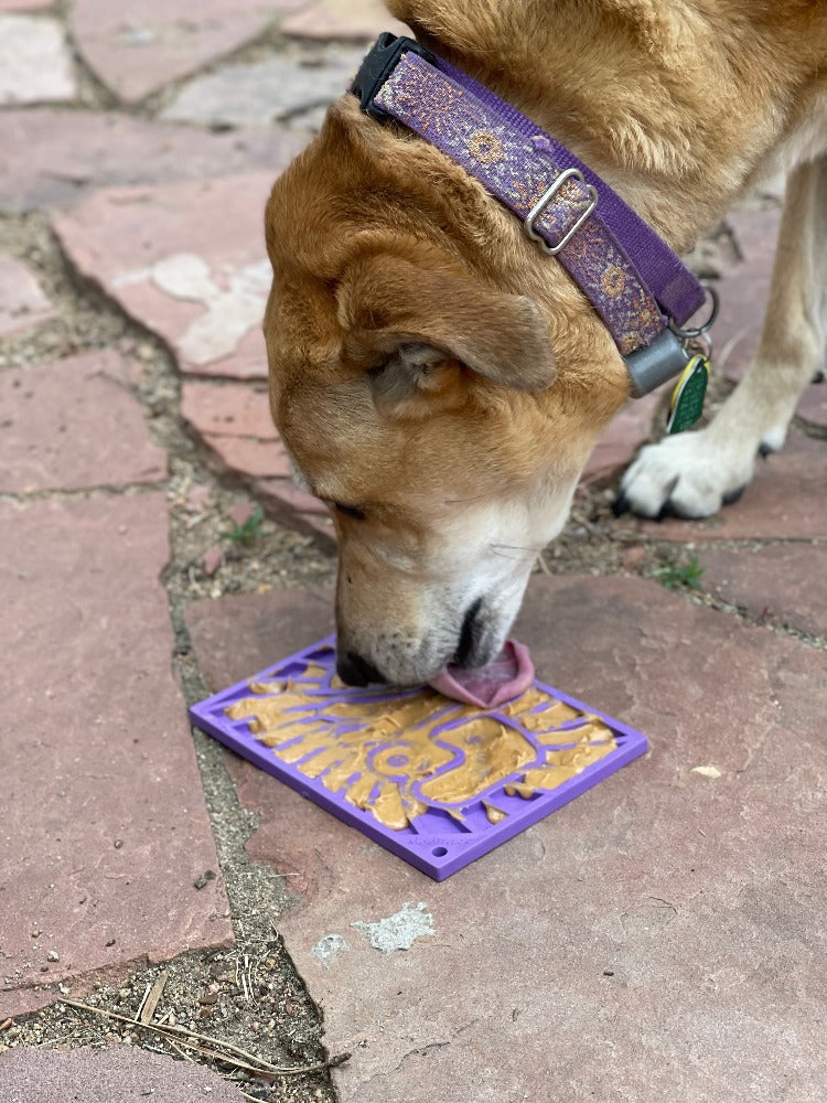 Pet Lick Mat product image 8