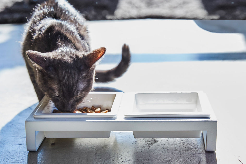 Pet Food Bowl product image 4